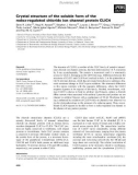 Báo cáo khoa học: Crystal structure of the soluble form of the redox-regulated chloride ion channel protein CLIC4