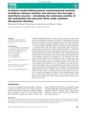 Báo cáo khoa hoc : A kinetic model linking protein conformational motions, interﬂavin electron transfer and electron ﬂux through a dual-ﬂavin enzyme – simulating the reductase activity of the endothelial and neuronal nitric oxide synthase ﬂavoprotein domains