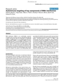 Báo cáo y học: Autoimmune targeting of key components of RNA interference