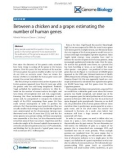 Báo cáo y học: between a chicken and a grape: estimating the number of human genes.