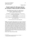 Báo cáo sinh học: Genetic analysis of a divergent selection for resistance to Rous sarcomas in chickens 