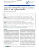 Báo cáo sinh học: Comparative analysis of macrophage associated vectors for use in genetic vaccine