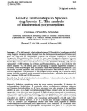 Báo cáo sinh học: Genetic relationships in Spanish dog breeds. II. The analysis of biochemical polymorphism