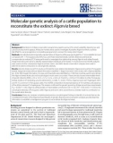 Báo cáo sinh học: Molecular genetic analysis of a cattle population to reconstitute the extinct Algarvia breed