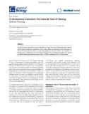 Báo cáo sinh học: X-chromosome inactivation: the molecular basis of silencing