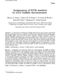 Báo cáo sinh học: Assignment of PCR markers to river buffalo chromosomes