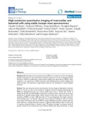 Báo cáo sinh học: High-resolution quantitative imaging of mammalian and bacterial cells using stable isotope mass spectrometry