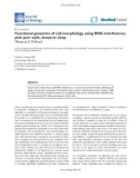 Báo cáo sinh học: Functional genomics of cell morphology using RNA interference: pick your style, broad or deep