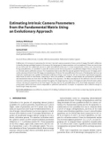 Báo cáo hóa học: Estimating Intrinsic Camera Parameters from the Fundamental Matrix Using an Evolutionary Approach