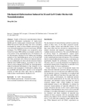 Báo cáo hóa học: Mechanical Deformation Induced in Si and GaN Under Berkovich Nanoindentation