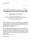 Báo cáo khao học: Survival after outplanting of the ectomycorrhizal fungus Laccaria bicolor S238N inoculated on Douglas fir (Pseudotsuga menziesii (Mirb.) Franco) cuttings