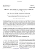 Báo cáo lâm nghiệp: Diﬀerential photosynthetic and survival responses to soil drought in two evergreen Nothofagus species