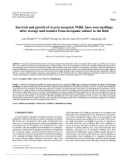 Báo cáo lâm nghiệp: Survival and growth of Acacia mangium Willd. bare-root seedlings after storage and transfer from aeroponic culture to the field