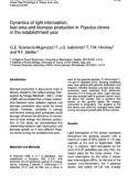 Báo cáo lâm nghiệp: Dynamics of light interception, leaf area and biomass production in the establishment year in Populus clones