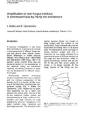 Báo cáo lâm nghiệp: Amplification of root—fungus interface in ectomycorrhizae by Hartig net architecture