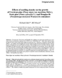 Báo cáo lâm nghiệp: Effects of seedling density on the growth of Corsican pine (Pinus nigra var. maritima Melv.), Scots pine (Pinus sylvestris L.) and Douglas-fir (Pseudotsuga menziesii Franco) in containers