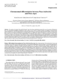 Báo cáo lâm nghiệp: Chromosomal differentiation between Pinus heldreichii and Pinus nigra