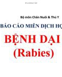 Báo cáo miễn dịch học: Bệnh dại (Rabies)