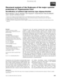 Báo cáo khoa học: Structural analysis of the N-glycans of the major cysteine proteinase of Trypanosoma cruzi Identiﬁcation of sulfated high-mannose type oligosaccharides