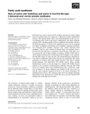 Báo cáo khoa học: Fatty acid synthesis Role of active site histidines and lysine in Cys-His-His-type b-ketoacyl-acyl carrier protein synthases