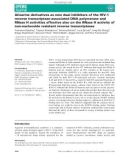 Báo cáo khoa học: Alizarine derivatives as new dual inhibitors of the HIV-1 reverse transcriptase-associated DNA polymerase and RNase H activities effective also on the RNase H activity of non-nucleoside resistant reverse transcriptases