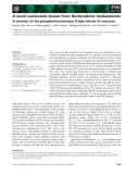 Báo cáo khoa học: A novel nucleoside kinase from Burkholderia thailandensis A member of the phosphofructokinase B-type family of enzymes