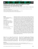 Báo cáo khoa học: Isolation and molecular characterization of a novel D-hydantoinase from Jannaschia sp. CCS1