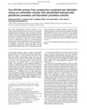 Báo cáo Y học: Two GPX-like proteins from Lycopersicon esculentum and Helianthus annuus are antioxidant enzymes with phospholipid hydroperoxide glutathione peroxidase and thioredoxin peroxidase activities