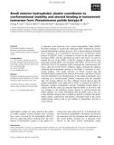 Báo cáo khoa học: Small exterior hydrophobic cluster contributes to conformational stability and steroid binding in ketosteroid isomerase from Pseudomonas putida biotype B