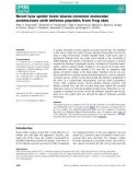 Báo cáo khoa hoc : Novel lynx spider toxin shares common molecular architecture with defense peptides from frog skin