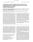 Báo cáo khóa học: A multi-protein complex containing cold shock domain (Y-box) and polypyrimidine tract binding proteins forms on the vascular endothelial growth factor mRNA Potential role in mRNA stabilization