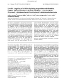 Báo cáo khoa học: Specific targeting of a DNA-alkylating reagent to mitochondria Synthesis and characterization of [4-((11aS)-7-methoxy-1,2,3,11a-tetrahydro-5H-pyrrolo[2,1-c][1,4]benzodiazepin-5-on-8-oxy)butyl]-triphenylphosphonium iodide