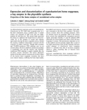 Báo cáo khoa học: Expression and characterization of cyanobacterium heme oxygenase, a key enzyme in the phycobilin synthesis Properties of the heme complex of recombinant active enzyme