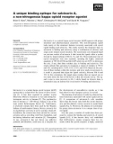 Báo cáo khoa học: A unique binding epitope for salvinorin A, a non-nitrogenous kappa opioid receptor agonist