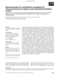 Báo cáo khoa học: Structural basis for cyclodextrin recognition by Thermoactinomyces vulgaris cyclo⁄maltodextrin-binding protein