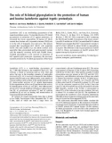 Báo cáo khóa học: The role of N-linked glycosylation in the protection of human and bovine lactoferrin against tryptic proteolysis