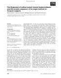 Báo cáo khoa học: The N-glycans of yellow jacket venom hyaluronidases and the protein sequence of its major isoform in Vespula vulgaris