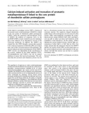 Báo cáo khoa học: Calcium-induced activation and truncation of promatrix metalloproteinase-9 linked to the core protein of chondroitin sulfate proteoglycans