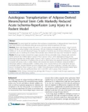 Báo cáo sinh học: Autologous Transplantation of Adipose-Derived Mesenchymal Stem Cells Markedly Reduced Acute Ischemia-Reperfusion Lung Injury in a Rodent Model