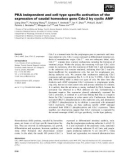 Báo cáo khoa học: PKA independent and cell type speciﬁc activation of the expression of caudal homeobox gene Cdx-2 by cyclic AM