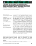 Báo cáo khoa học: Functional role of fumarate site Glu59 involved in allosteric regulation and subunit–subunit interaction of human mitochondrial NAD(P)+-dependent malic enzyme