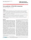 Báo cáo sinh học: Fast prediction of RNA-RNA interaction