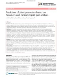 Báo cáo sinh học: Prediction of plant promoters based on hexamers and random triplet pair analysis