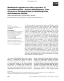 Báo cáo khoa học: Mechanistic aspects and redox properties of hyperthermophilic L-proline dehydrogenase from Pyrococcus furiosus related to dimethylglycine dehydrogenase⁄oxidase