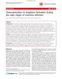 Báo cáo y học: Characterization of viroplasm formation during the early stages of rotavirus infection