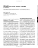 Báo cáo y học: Regulatory RNAs and the demise of ‘junk' DNA