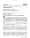 Báo cáo y học: Key regulatory molecules of cartilage destruction in rheumatoid arthritis: an in vitro study