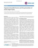 Báo cáo y học: Hypoxia-inducible factors and the prevention of acute organ injur