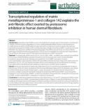 Báo cáo y học: Transcriptional regulation of matrix metalloproteinase-1 and collagen 1A2 explains the anti-fibrotic effect exerted by proteasome inhibition in human dermal fibroblasts