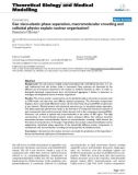 Báo cáo y học: Can visco-elastic phase separation, macromolecular crowding and colloidal physics explain nuclear organisation?